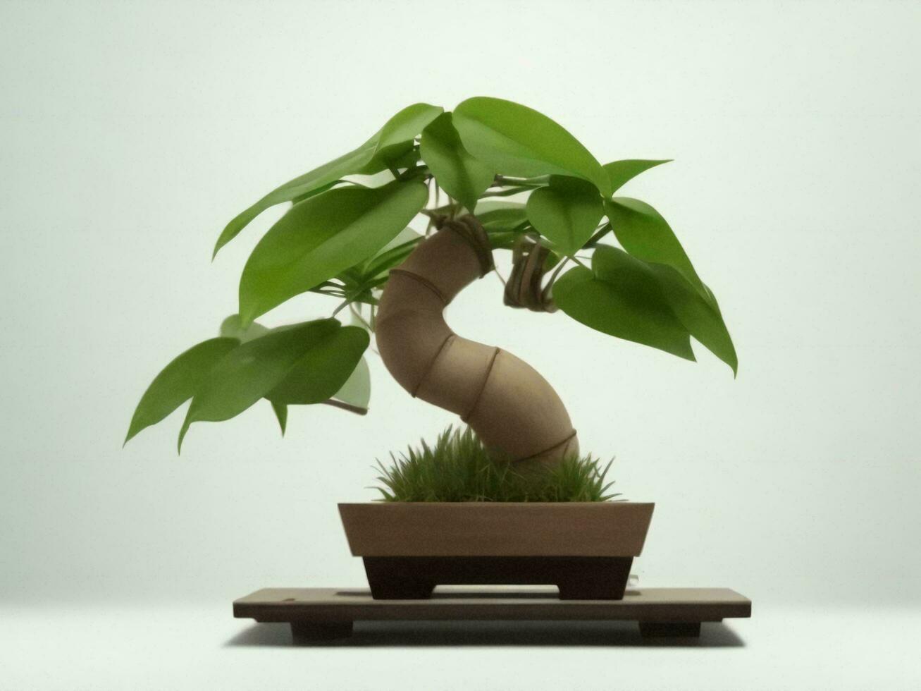 Beautiful expensive bonsai tree on white background ai generated photo