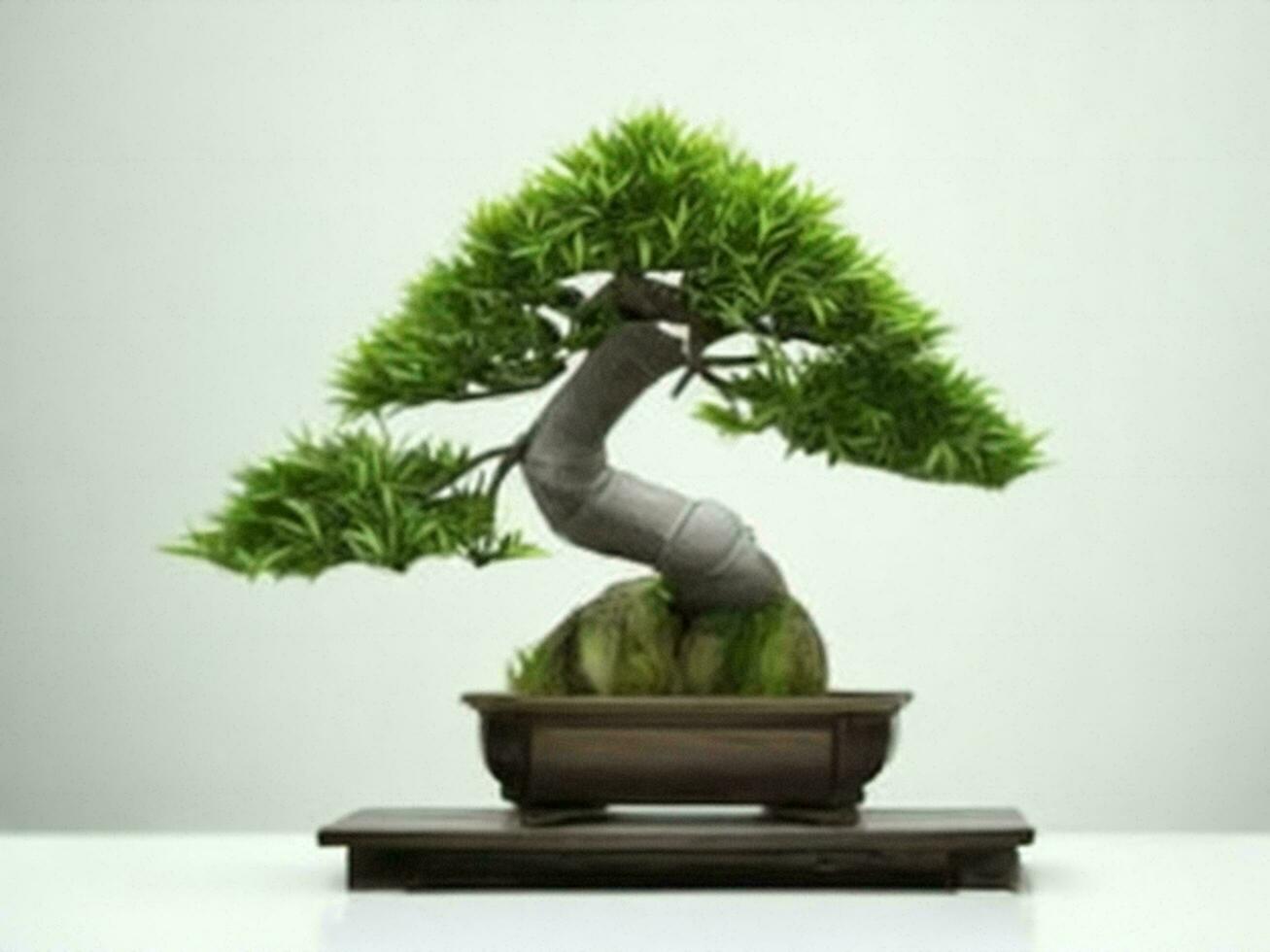 Beautiful expensive bonsai tree on white background ai generated photo