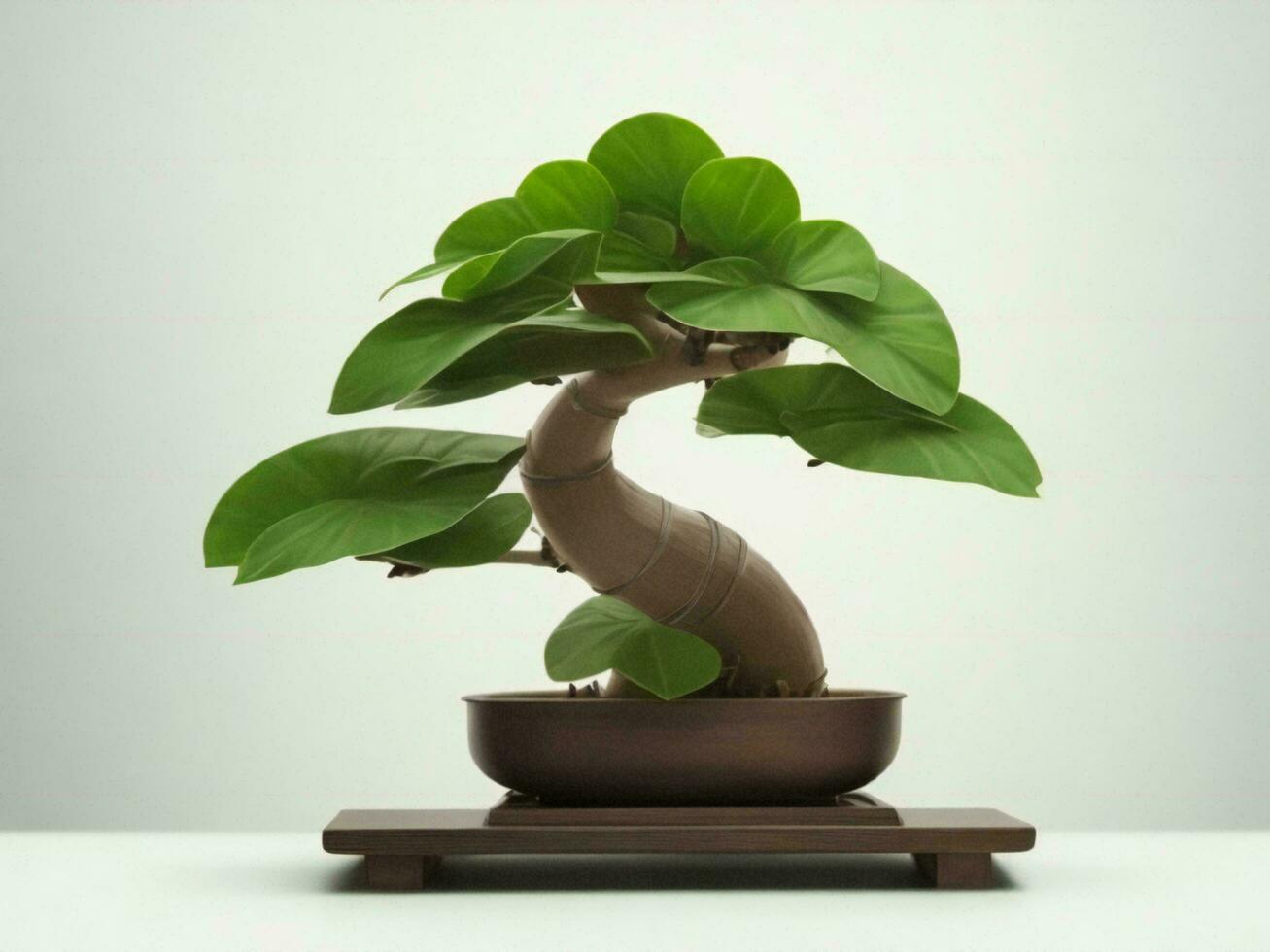 Beautiful expensive bonsai tree on white background ai generated photo