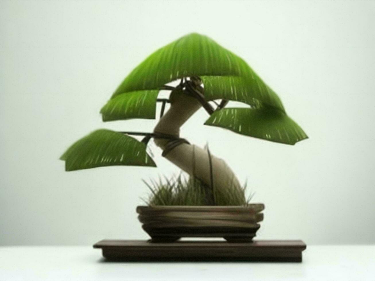 Beautiful expensive bonsai tree on white background ai generated photo