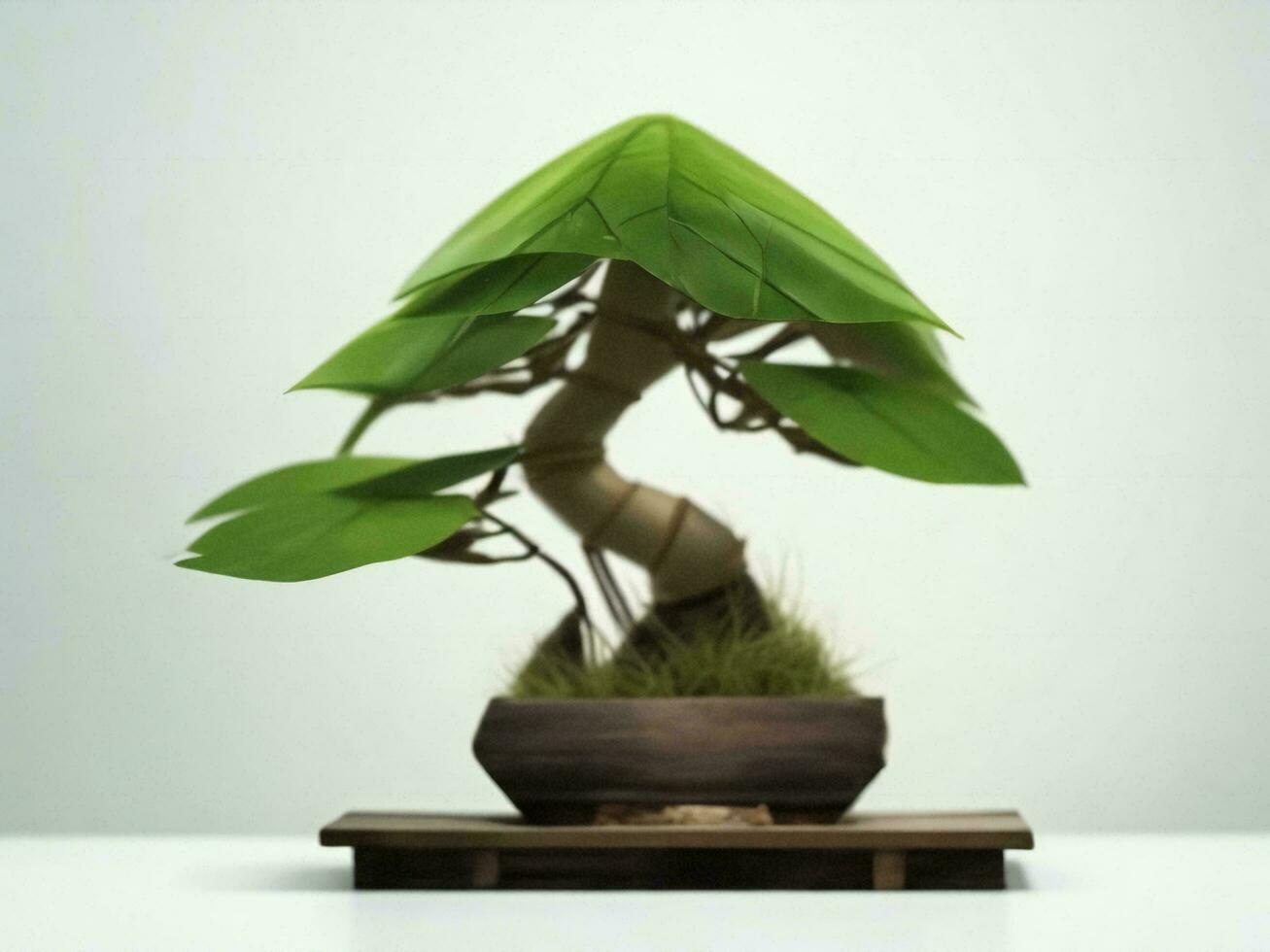 Beautiful expensive bonsai tree on white background ai generated photo