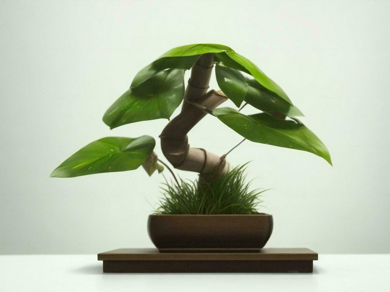 Beautiful expensive bonsai tree on white background ai generated photo