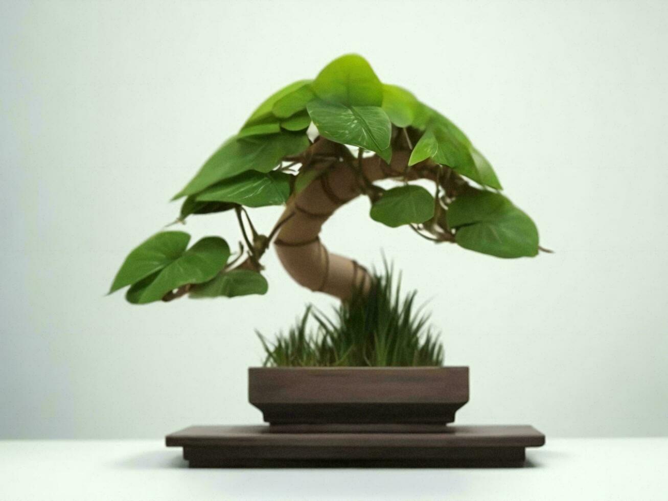 Beautiful expensive bonsai tree on white background ai generated photo