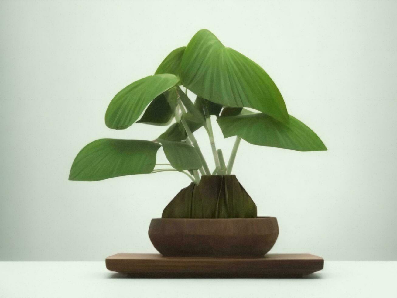 Beautiful expensive bonsai tree on white background ai generated photo