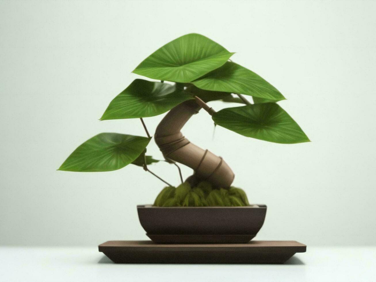 Beautiful expensive bonsai tree on white background ai generated photo
