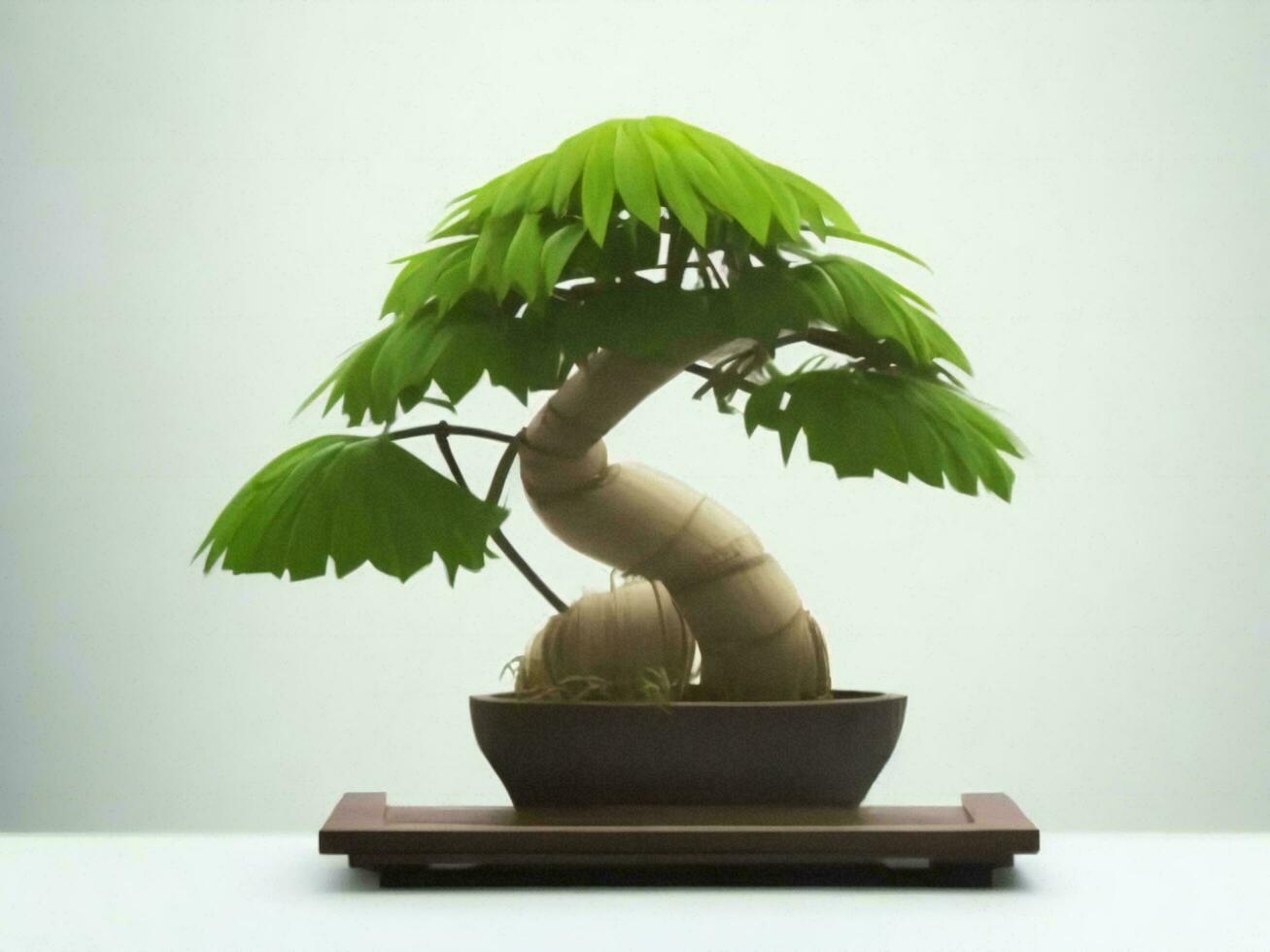 Beautiful expensive bonsai tree on white background ai generated photo