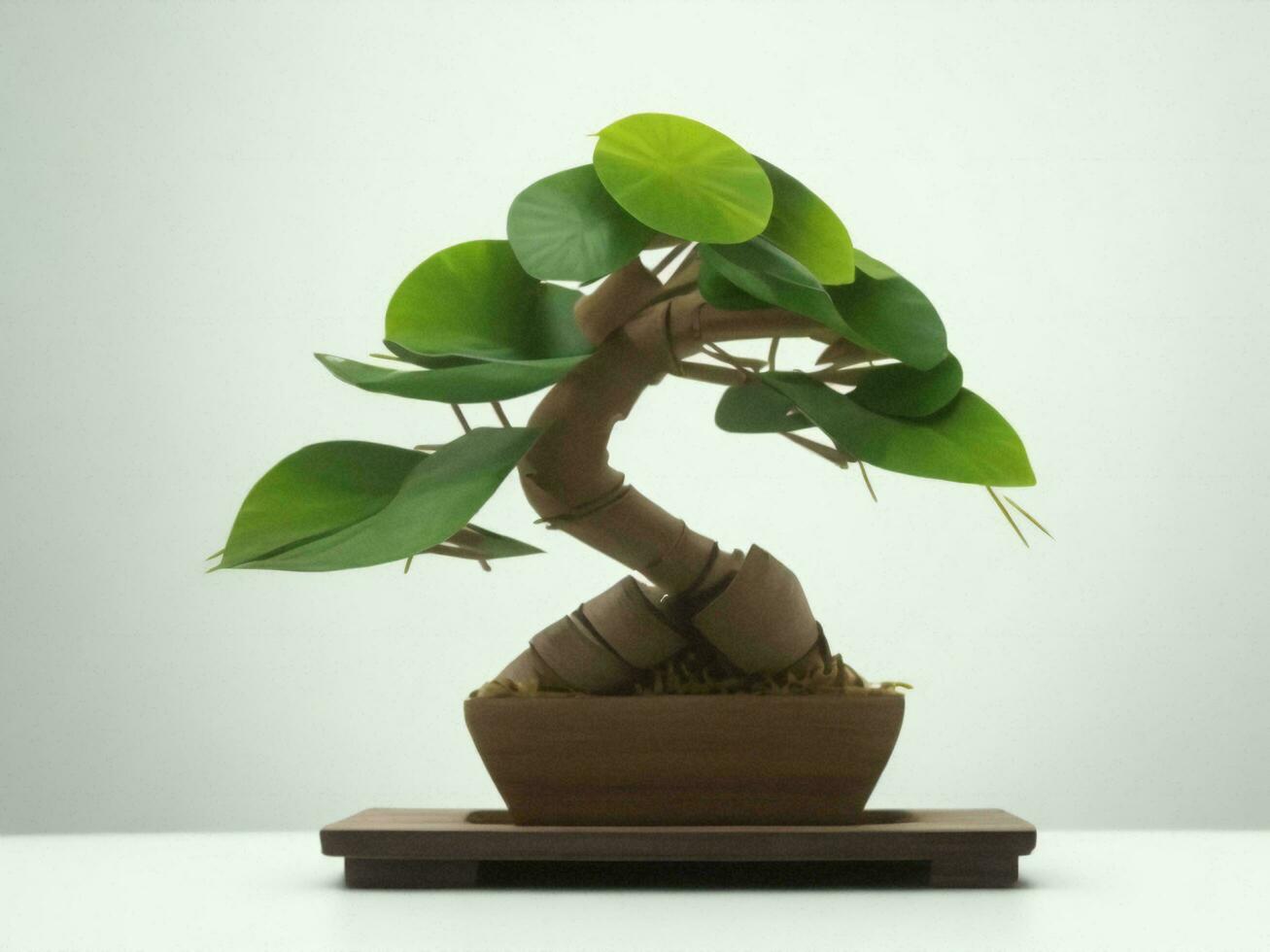 Beautiful expensive bonsai tree on white background ai generated photo