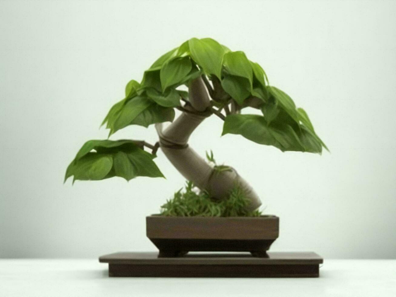 Beautiful expensive bonsai tree on white background ai generated photo