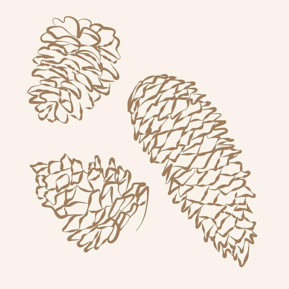 Set of pine cones, design elements, hand drawn vector illustration, sketch. Doodle, simple outline illustration for decoration of textile, paper and other surfaces.