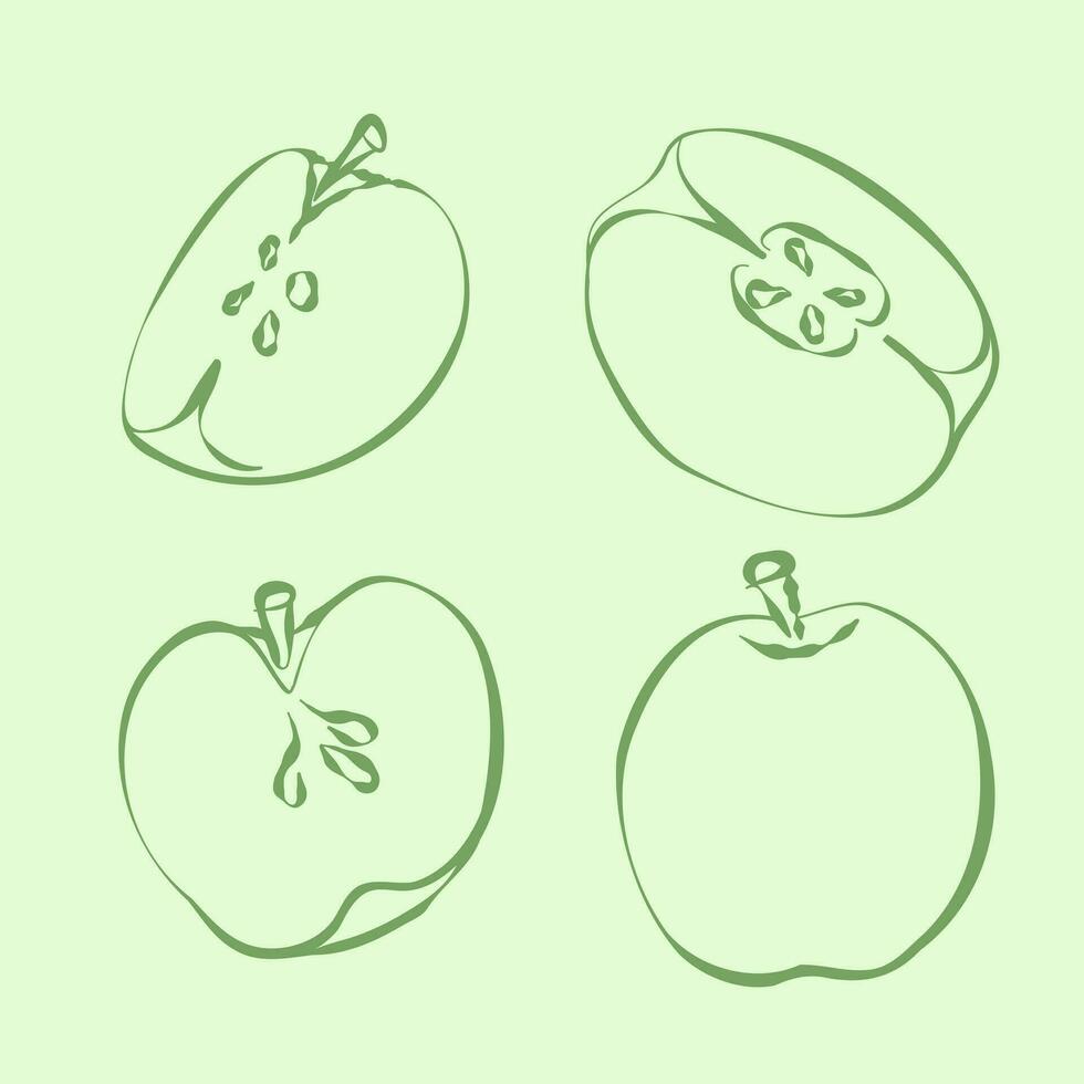 Apple Hand Drawn Line Sketch. Doodle, simple outline illustration for decoration of textile, cover for cider bottles, menu cover, paper and other surfaces. Vector illustration