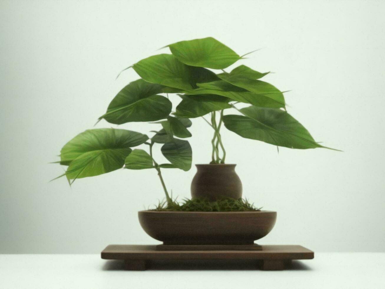 Beautiful expensive bonsai tree on white background ai generated photo