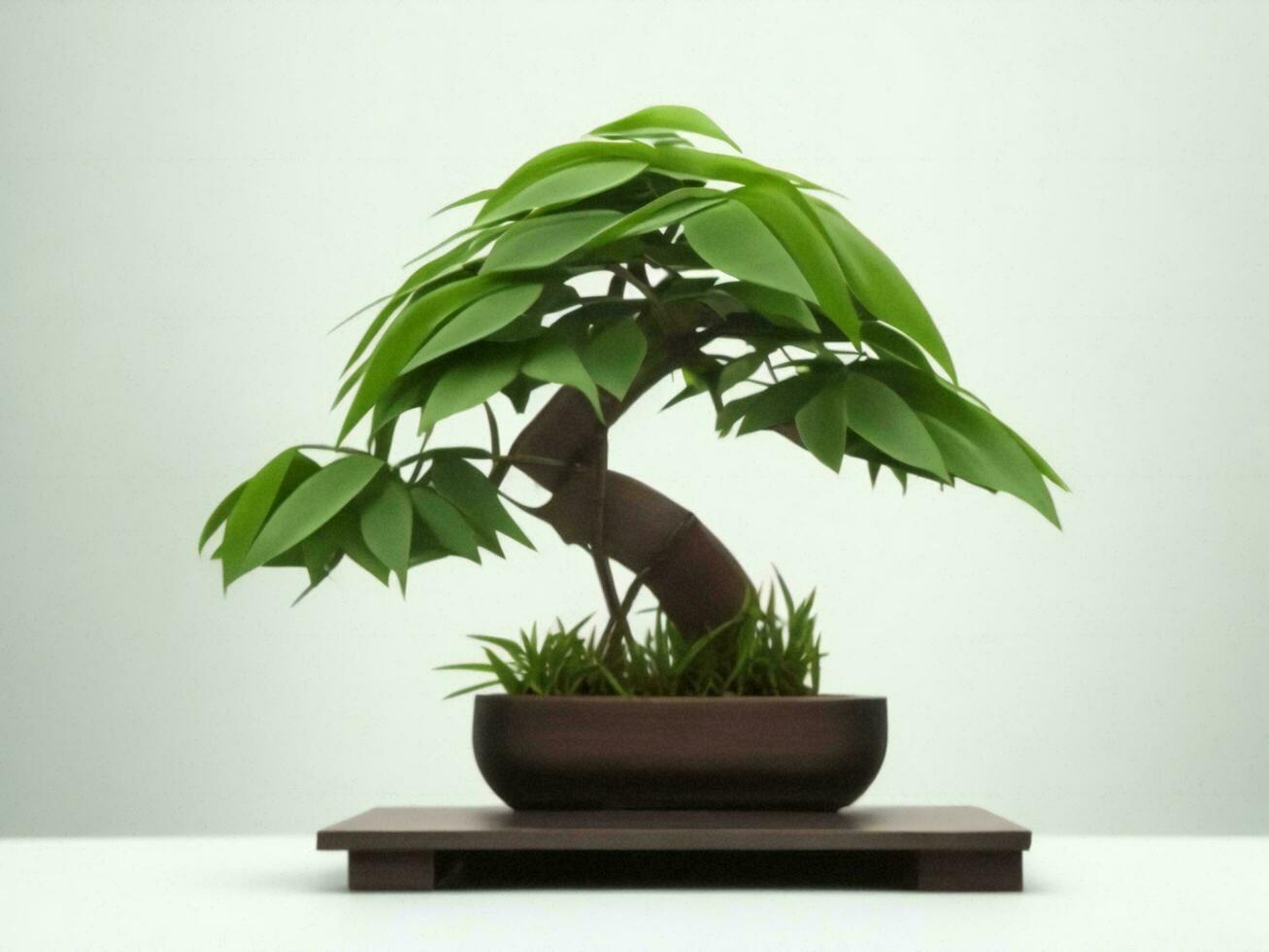 Beautiful expensive bonsai tree on white background ai generated photo