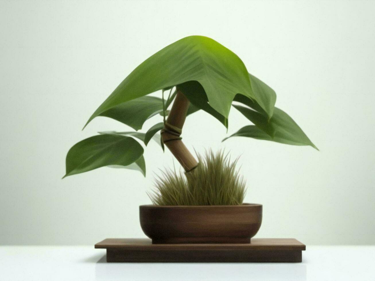 Beautiful expensive bonsai tree on white background ai generated photo