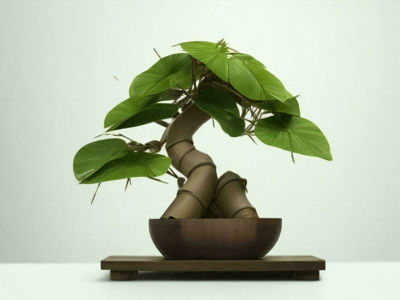 Beautiful expensive bonsai tree on white background ai generated photo