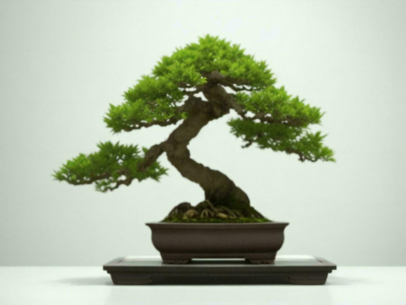 Beautiful expensive bonsai tree on white background ai generated photo