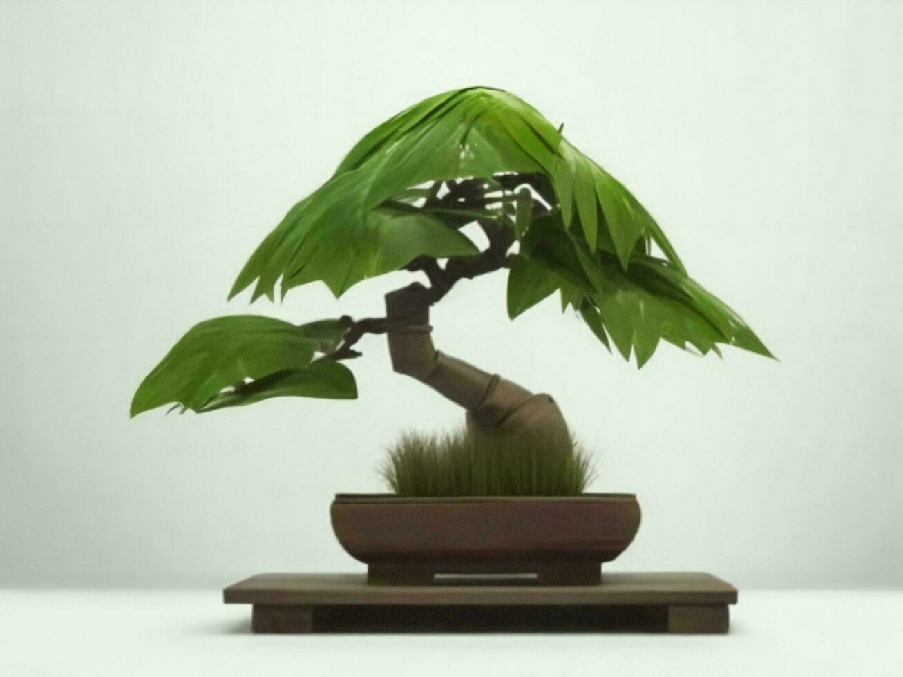 Beautiful expensive bonsai tree on white background ai generated photo