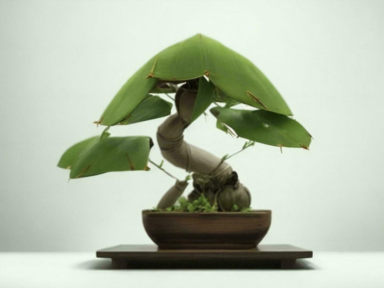 Beautiful expensive bonsai tree on white background ai generated photo