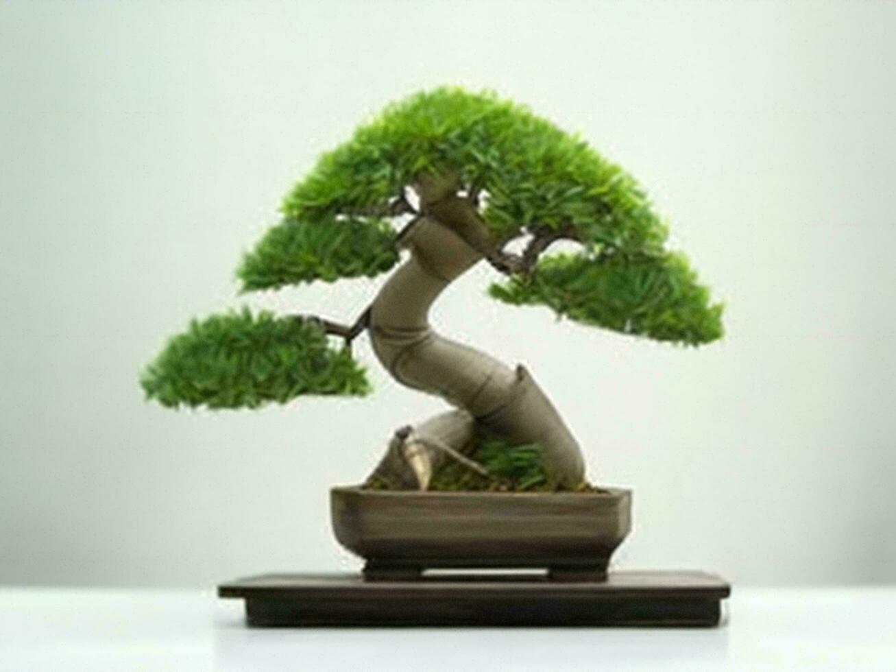 Beautiful expensive bonsai tree on white background ai generated photo