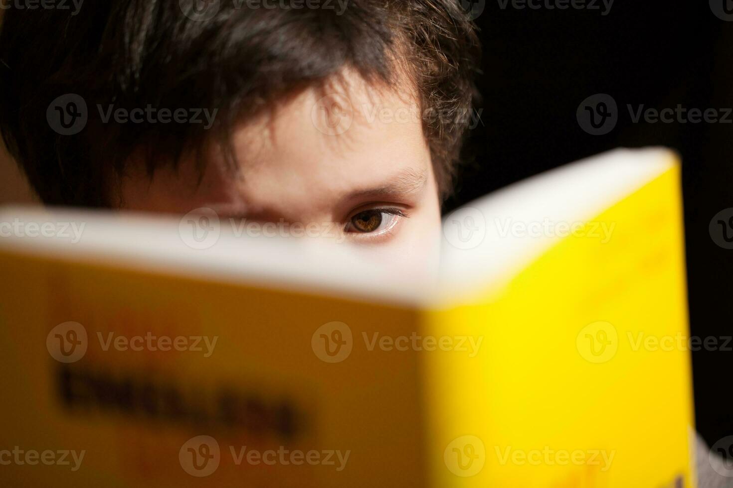 Young boy concentrating on reading a book photo