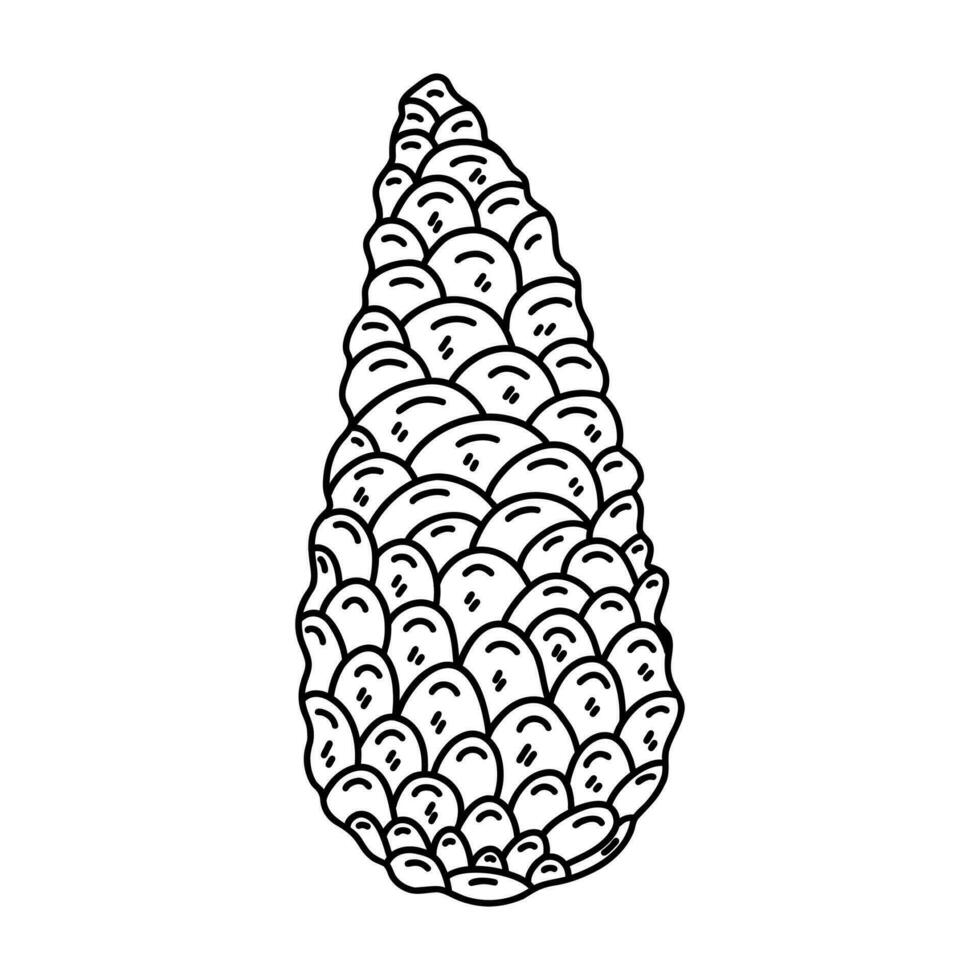 Pine cone on a white background. Vector doodle