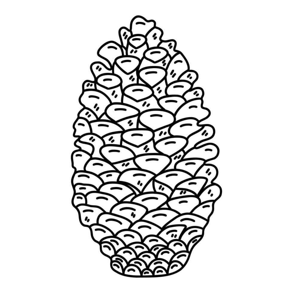 Pine cone on a white background. Vector contour