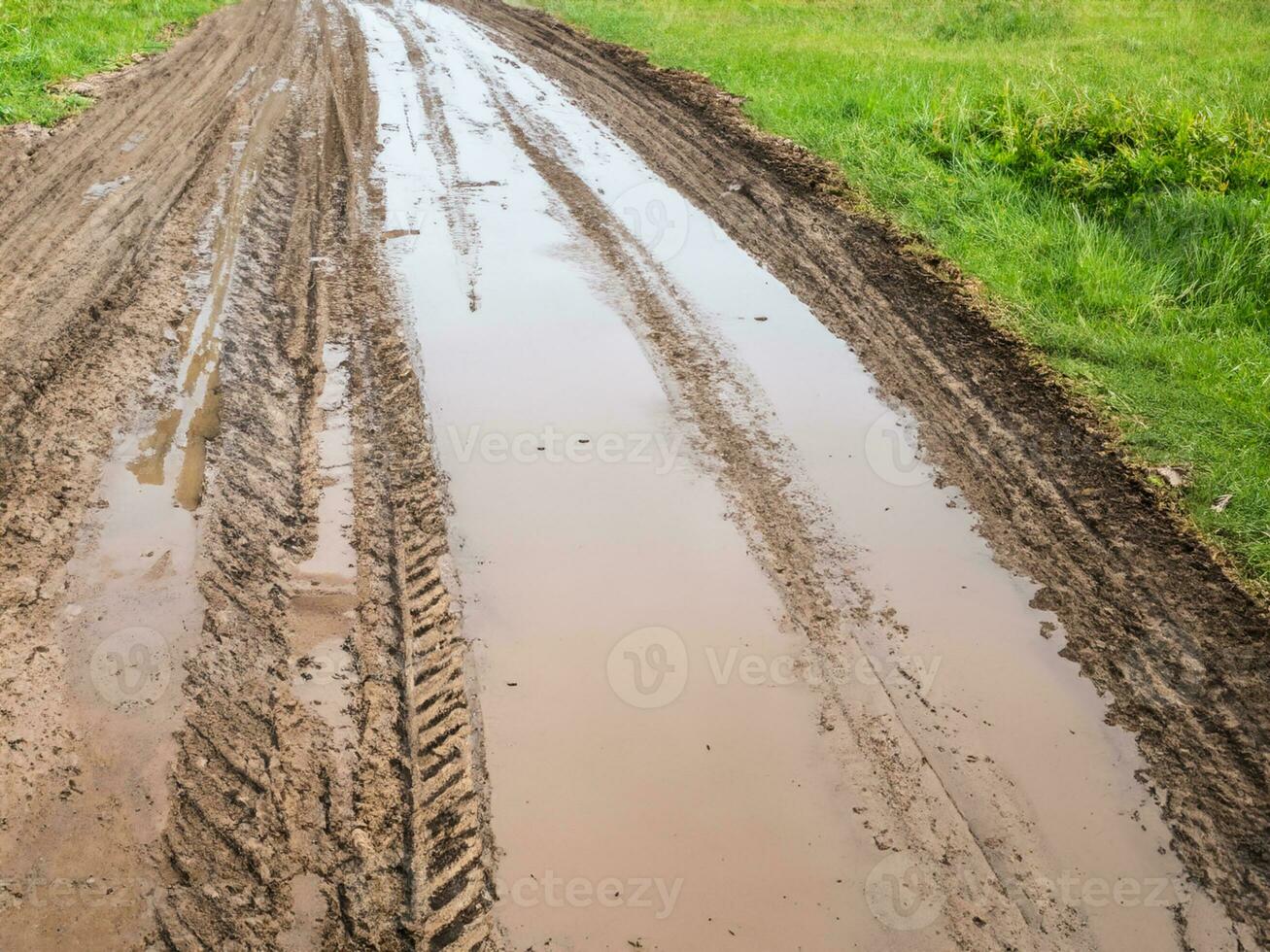 dirt road with dirt tracks in the countryside. photo