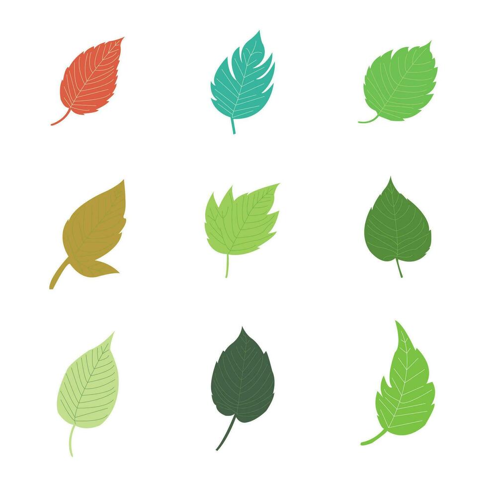 hojas de varios plantas conjunto blanco antecedentes. vector