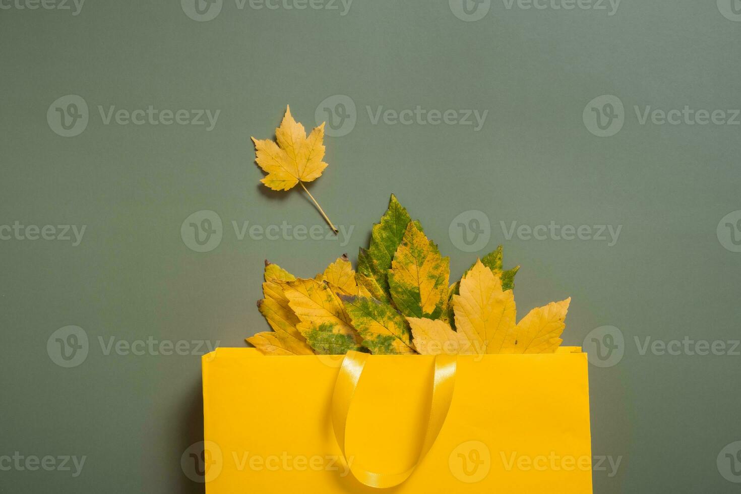 Autumn shopping and sales concept. Flat lay autumn fallen leaves and a shopping bag on a green background photo