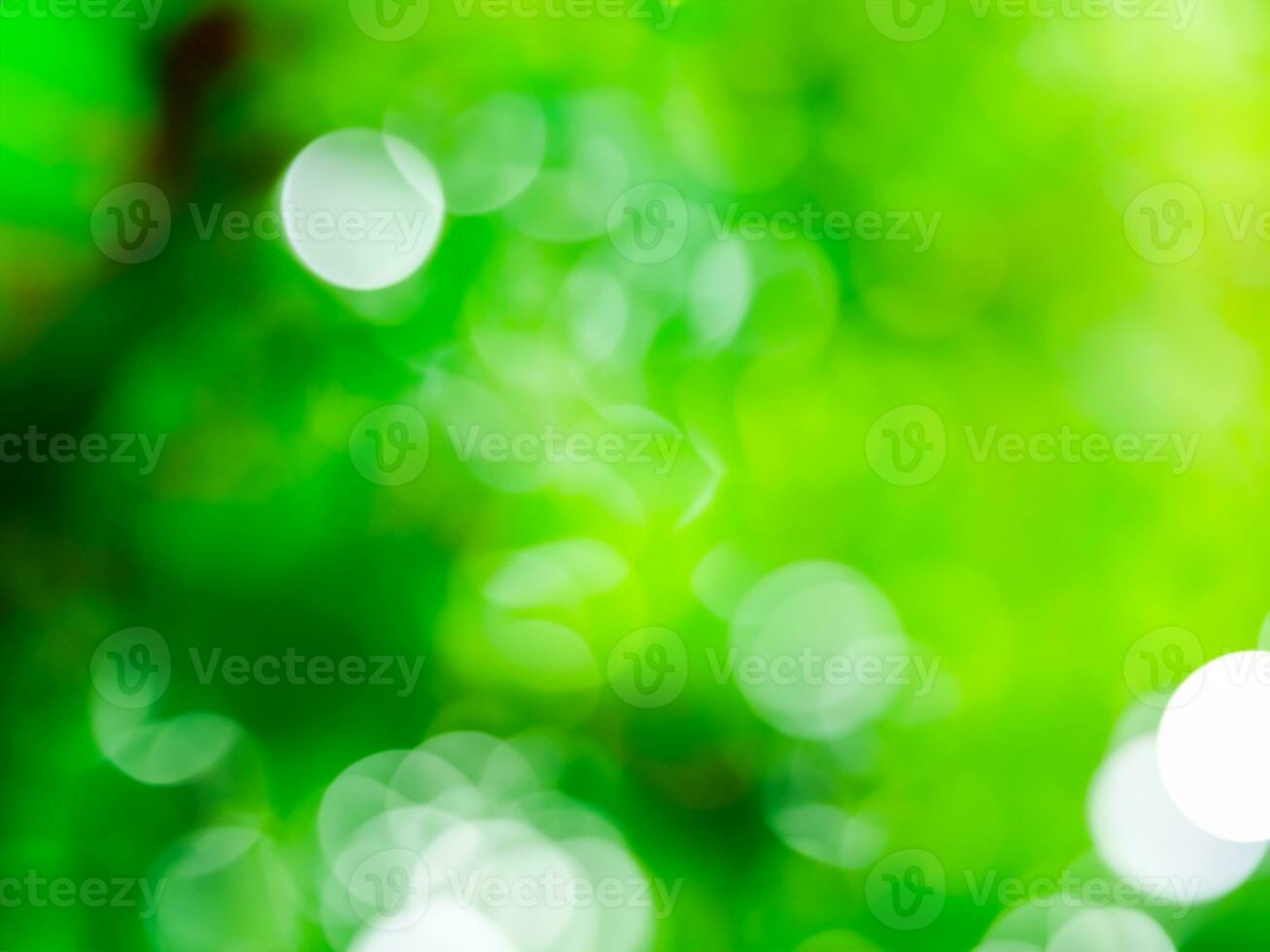 Abstract blurred green color for background, Blur leaves at the health garden outdoor and white bubble focus. photo