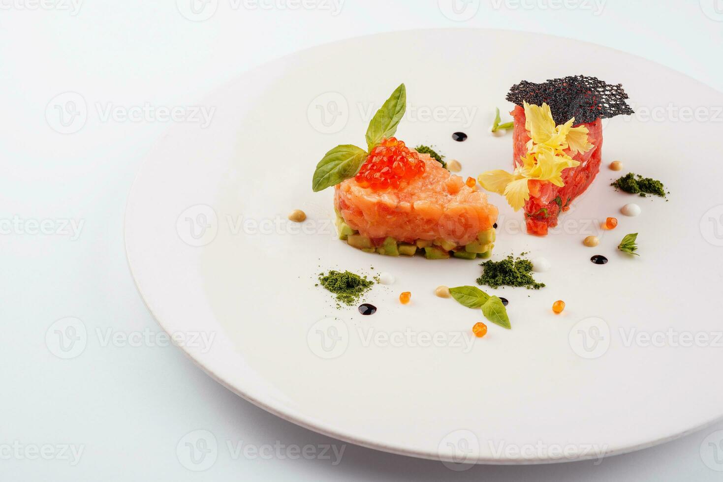 salmon and beef tartare on white plate photo