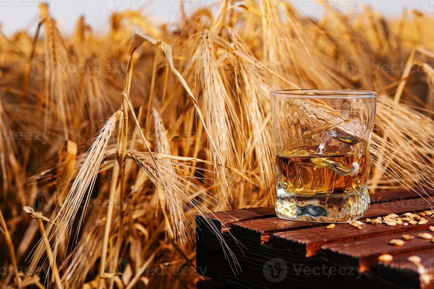 glass of whiskey in a field with ears photo