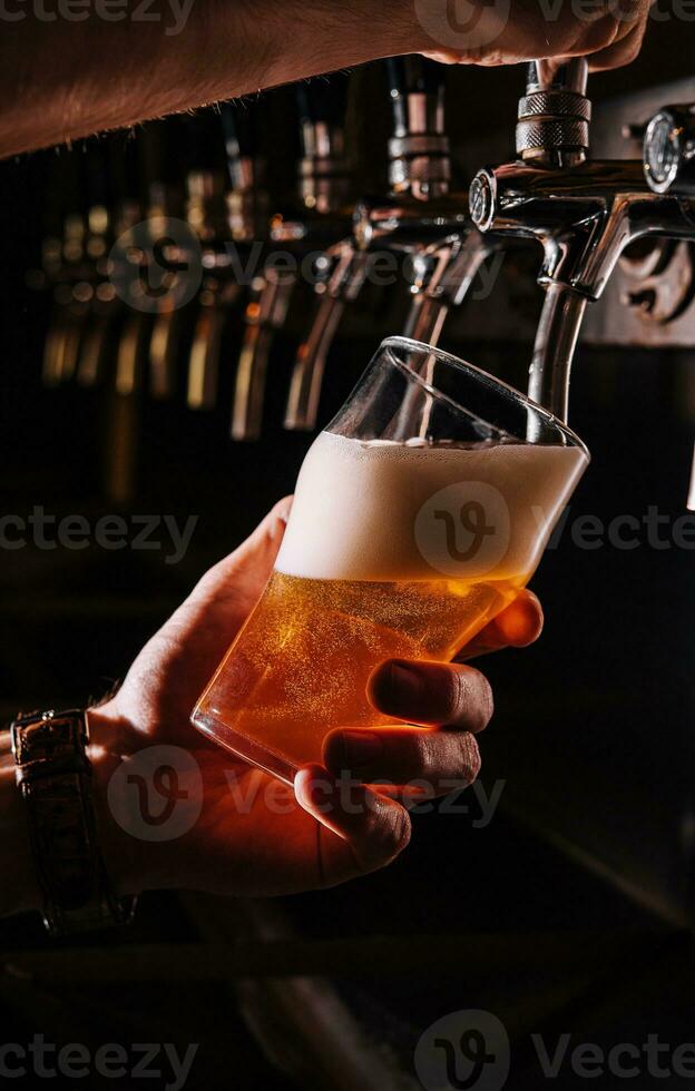 Close-up of barman hand at beer tap pouring a draught lager beer photo