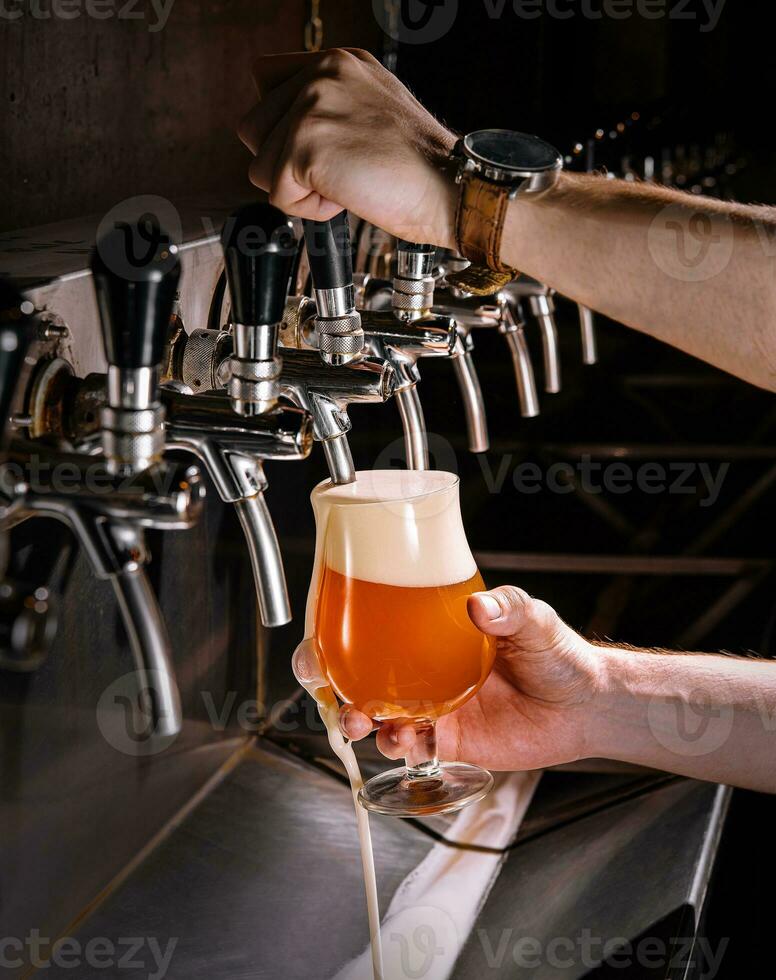 Bartender pouring fresh beer into glass in pub photo