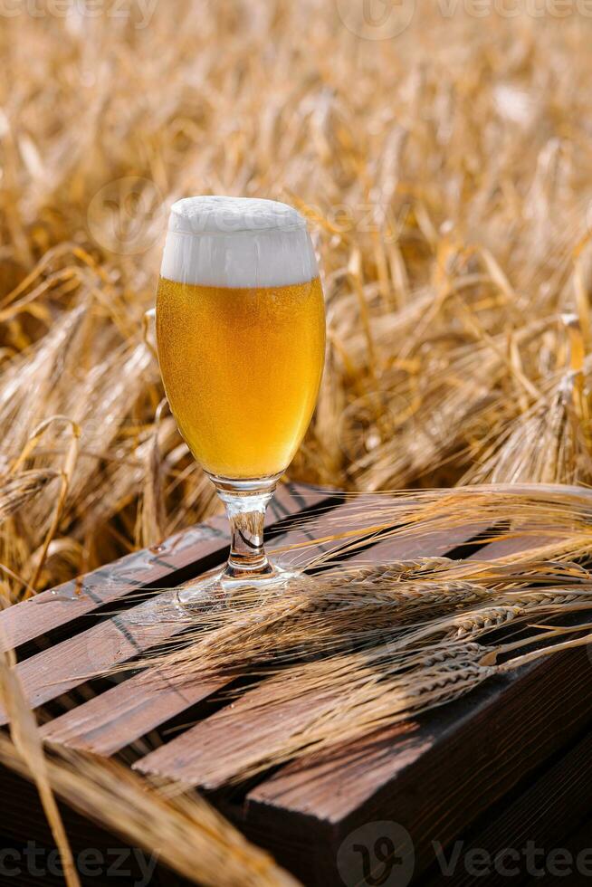 glass of blonde beer on wooden table with sunny wheat field photo