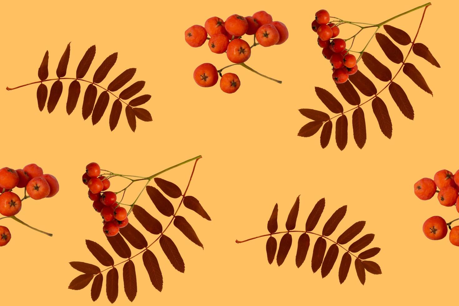 otoño rama de rojo serbal baya con rojo serbal hojas modelo en antecedentes foto
