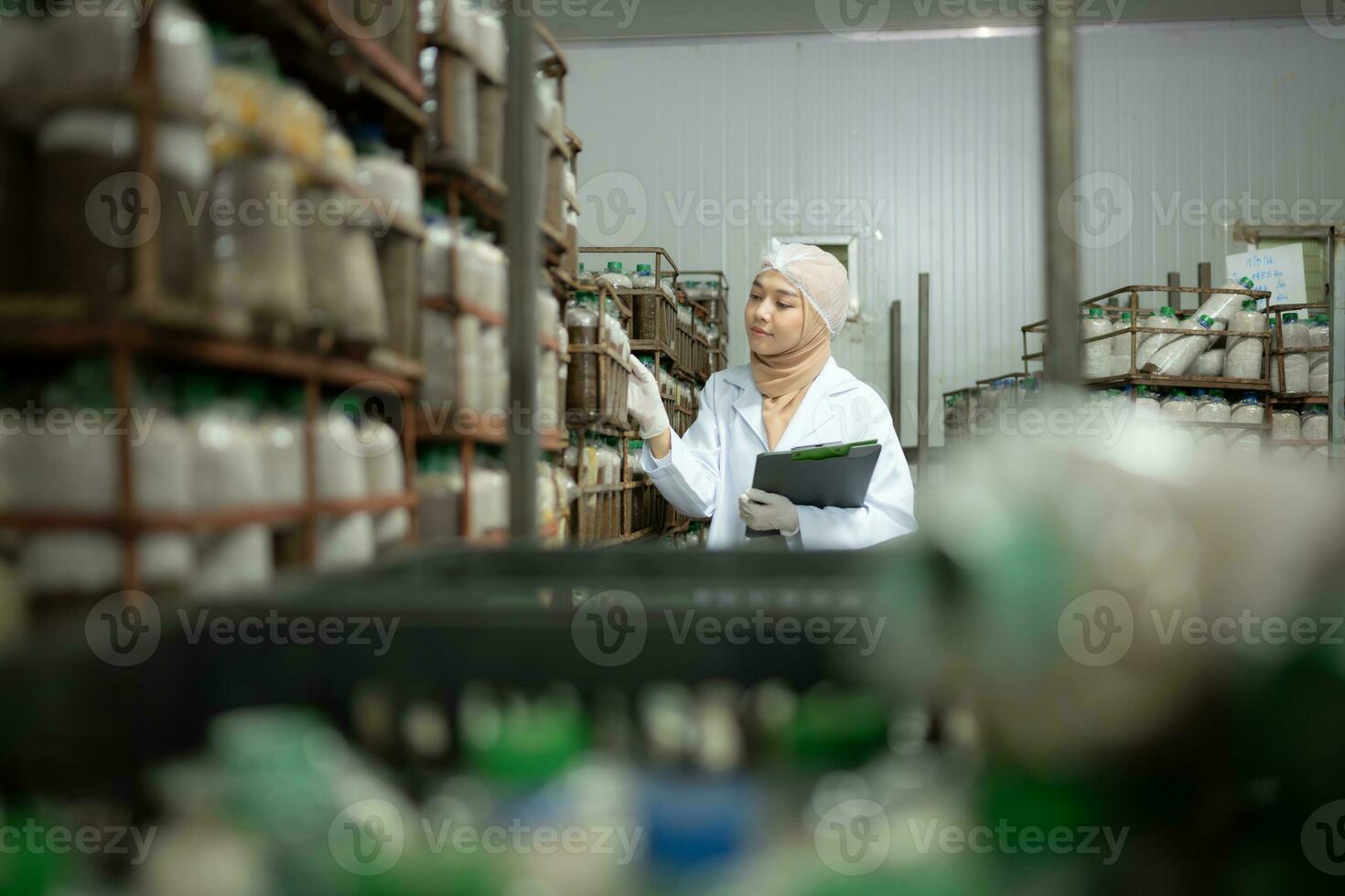 Young asian muslim female scientist doing research at a mushroom factory, examining mushroom leavening agent in a sterile and temperature-controlled room. photo