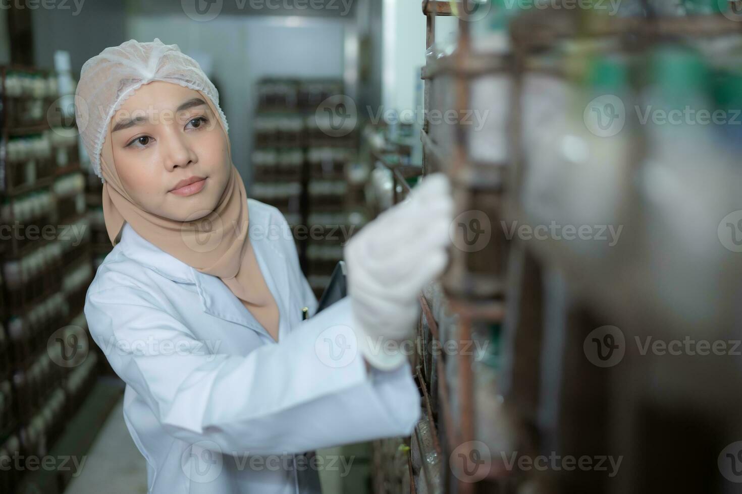 Young asian muslim female scientist doing research at a mushroom factory, examining mushroom leavening agent in a sterile and temperature-controlled room. photo