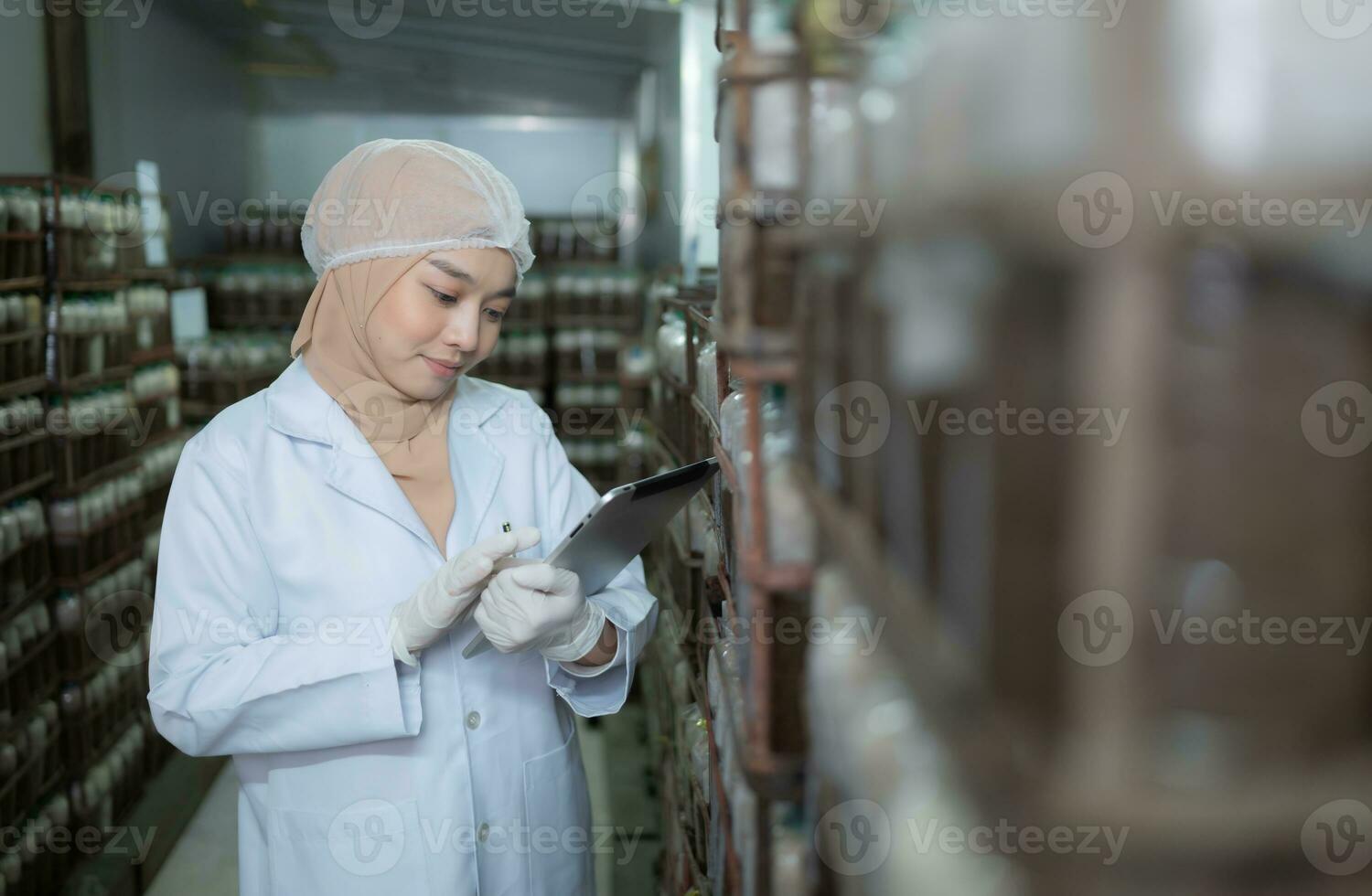 Young asian muslim female scientist doing research at a mushroom factory, examining mushroom leavening agent in a sterile and temperature-controlled room. photo