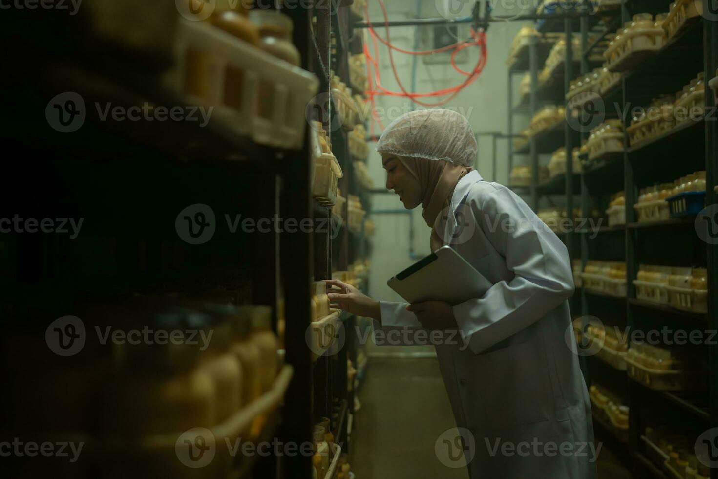 Young asian muslim female scientist doing research at a mushroom factory, examining mushroom leavening agent in a sterile and temperature-controlled room. photo