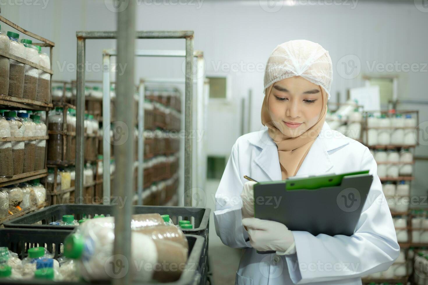 Young asian muslim female scientist doing research at a mushroom factory, examining mushroom leavening agent in a sterile and temperature-controlled room. photo