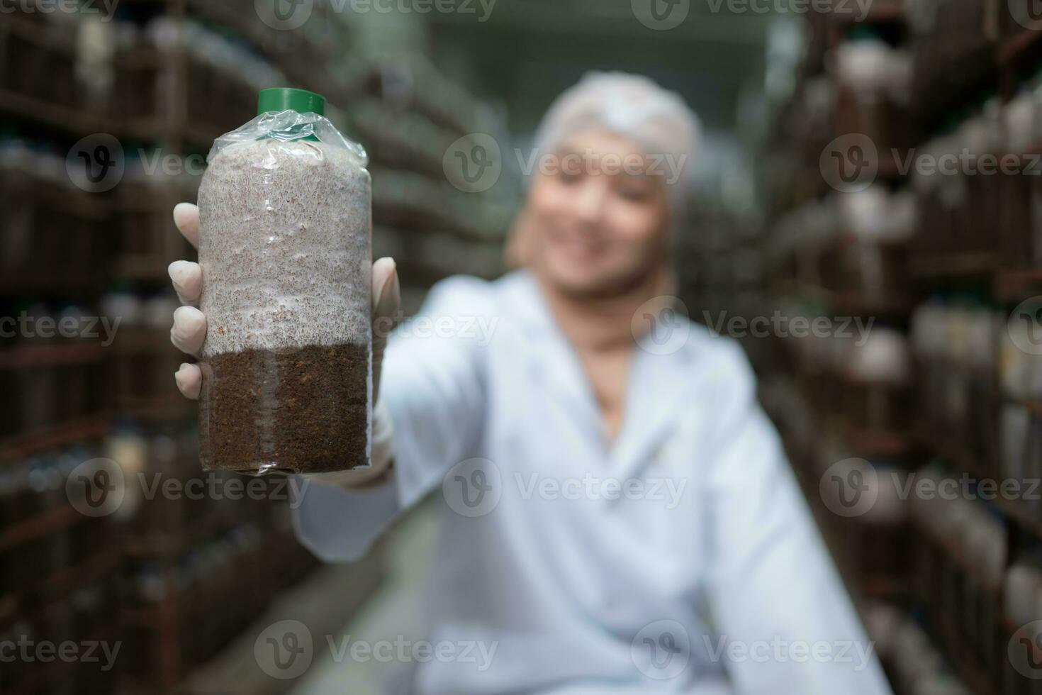 Young asian muslim female scientist doing research at a mushroom factory, investigating the growth of fungi in mushroom lumps. in a sterile and temperature-controlled room photo