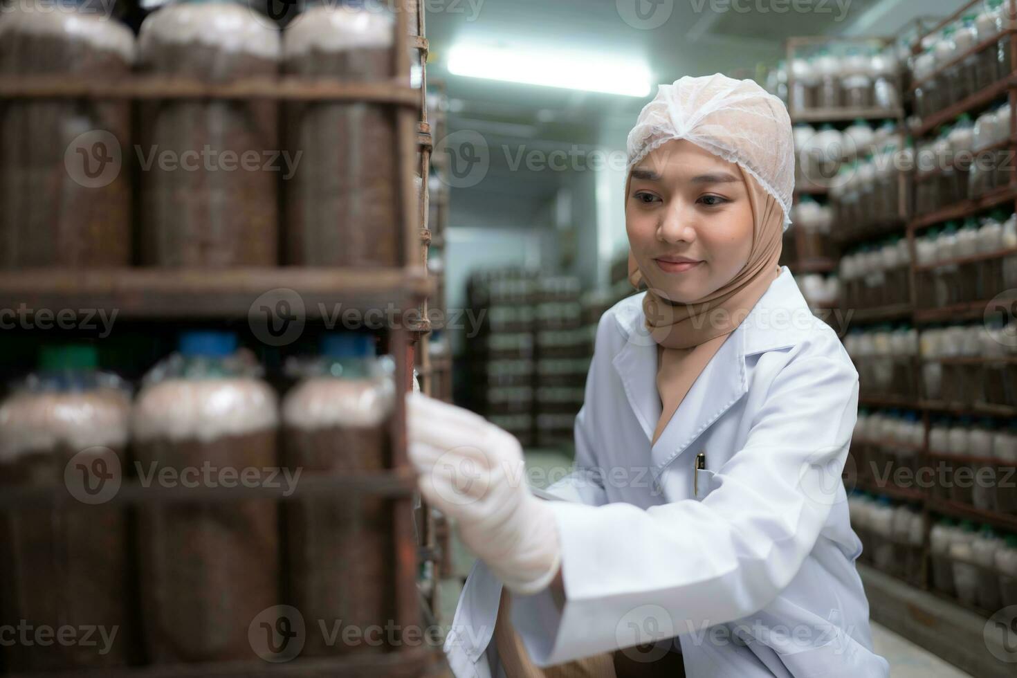 Young asian muslim female scientist doing research at a mushroom factory, investigating the growth of fungi in mushroom lumps. in a sterile and temperature-controlled room photo