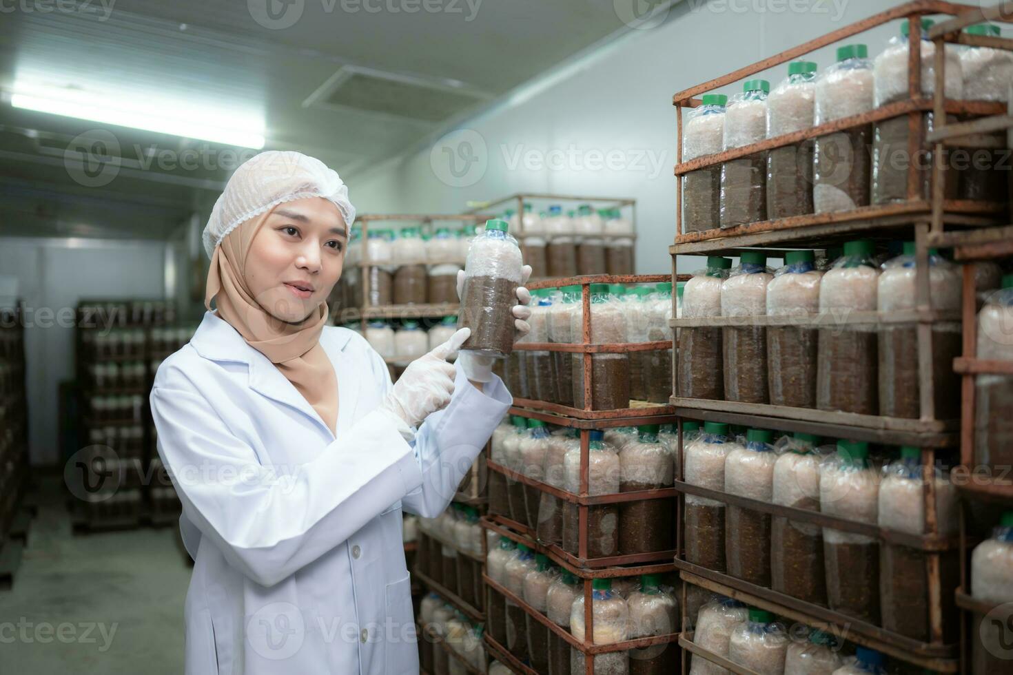 Young asian muslim female scientist doing research at a mushroom factory, investigating the growth of fungi in mushroom lumps. in a sterile and temperature-controlled room photo