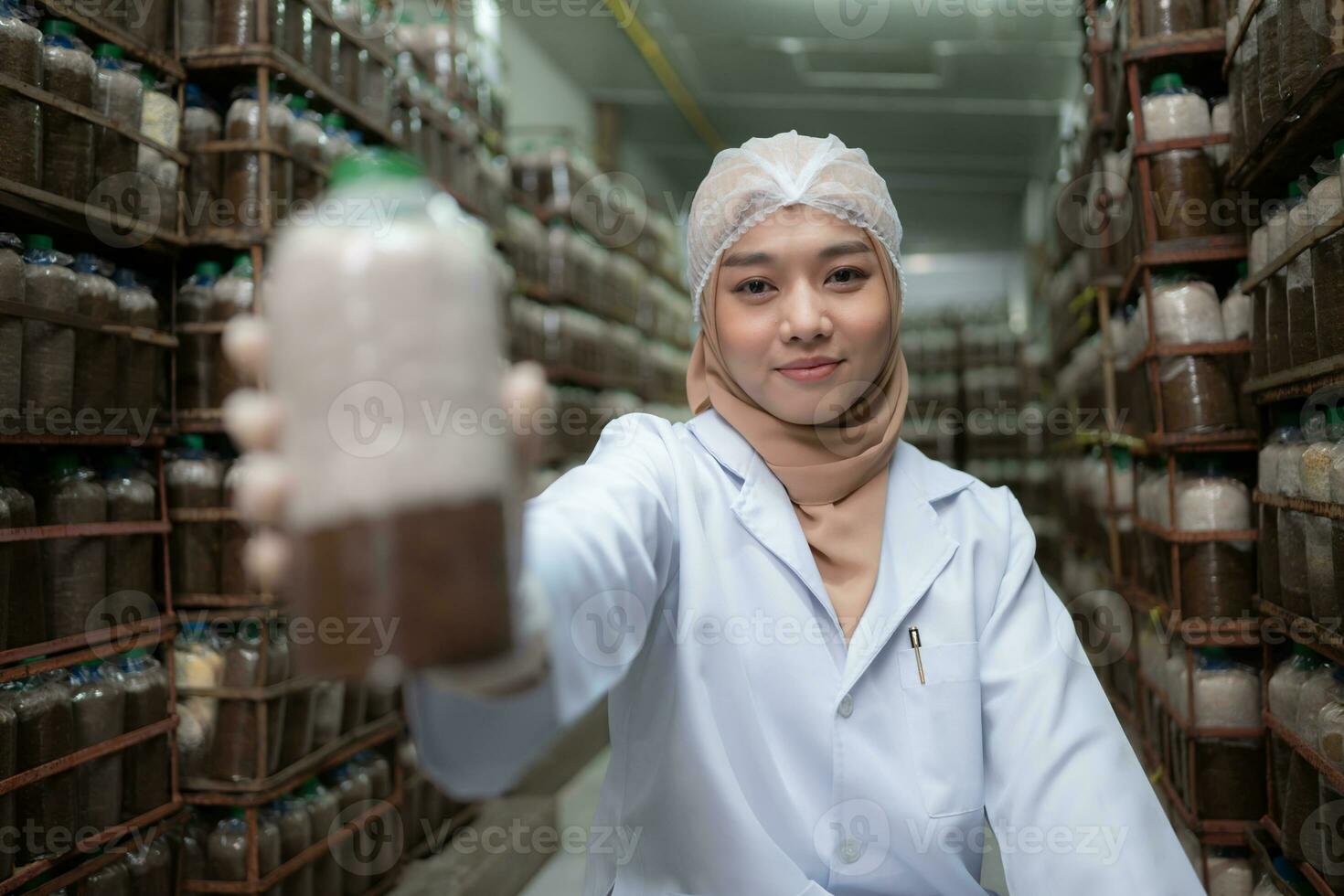 Young asian muslim female scientist doing research at a mushroom factory, investigating the growth of fungi in mushroom lumps. in a sterile and temperature-controlled room photo