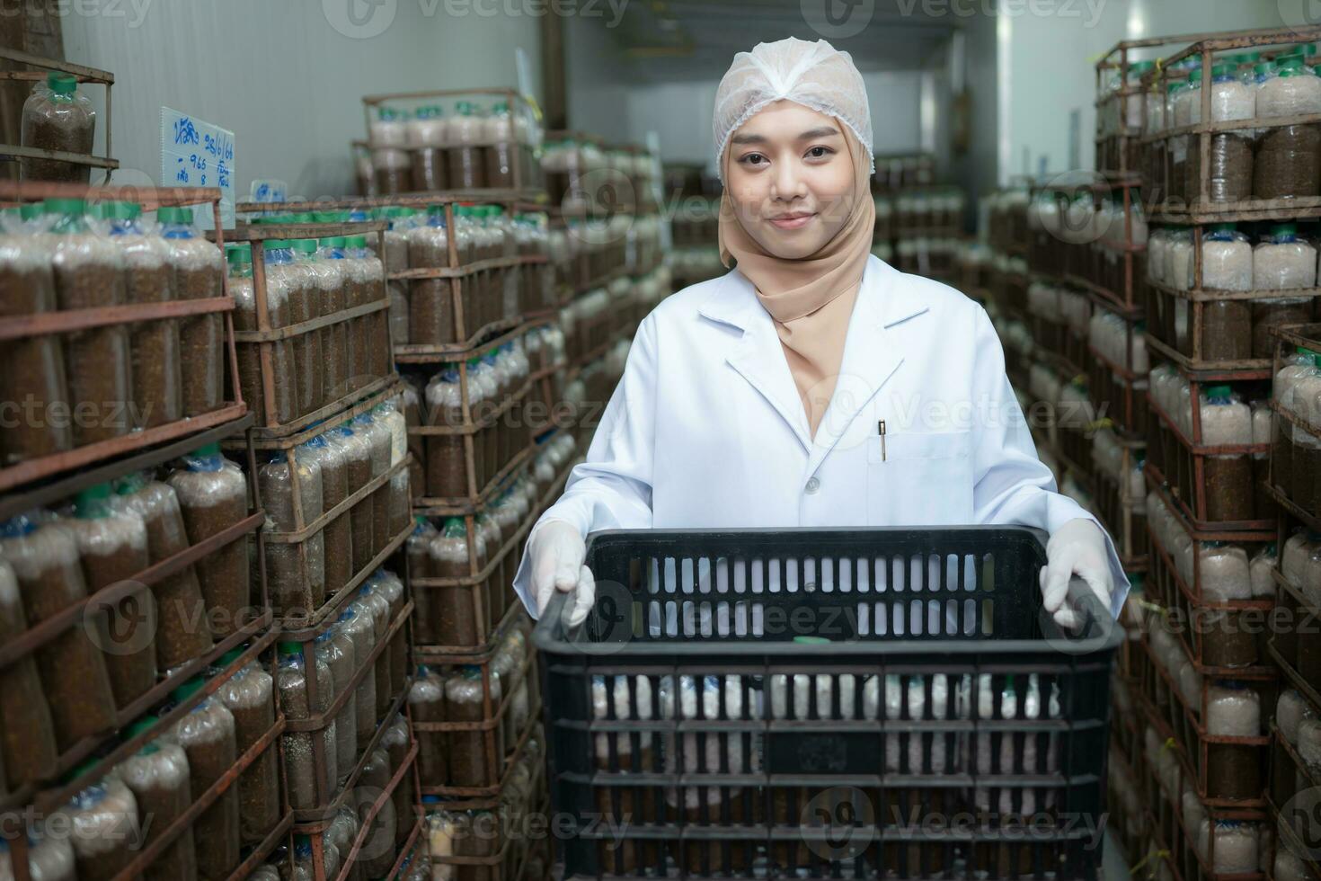 Portrait of a female scientist carrying a box with mushroom lumps in a sterile and temperature-controlled room photo