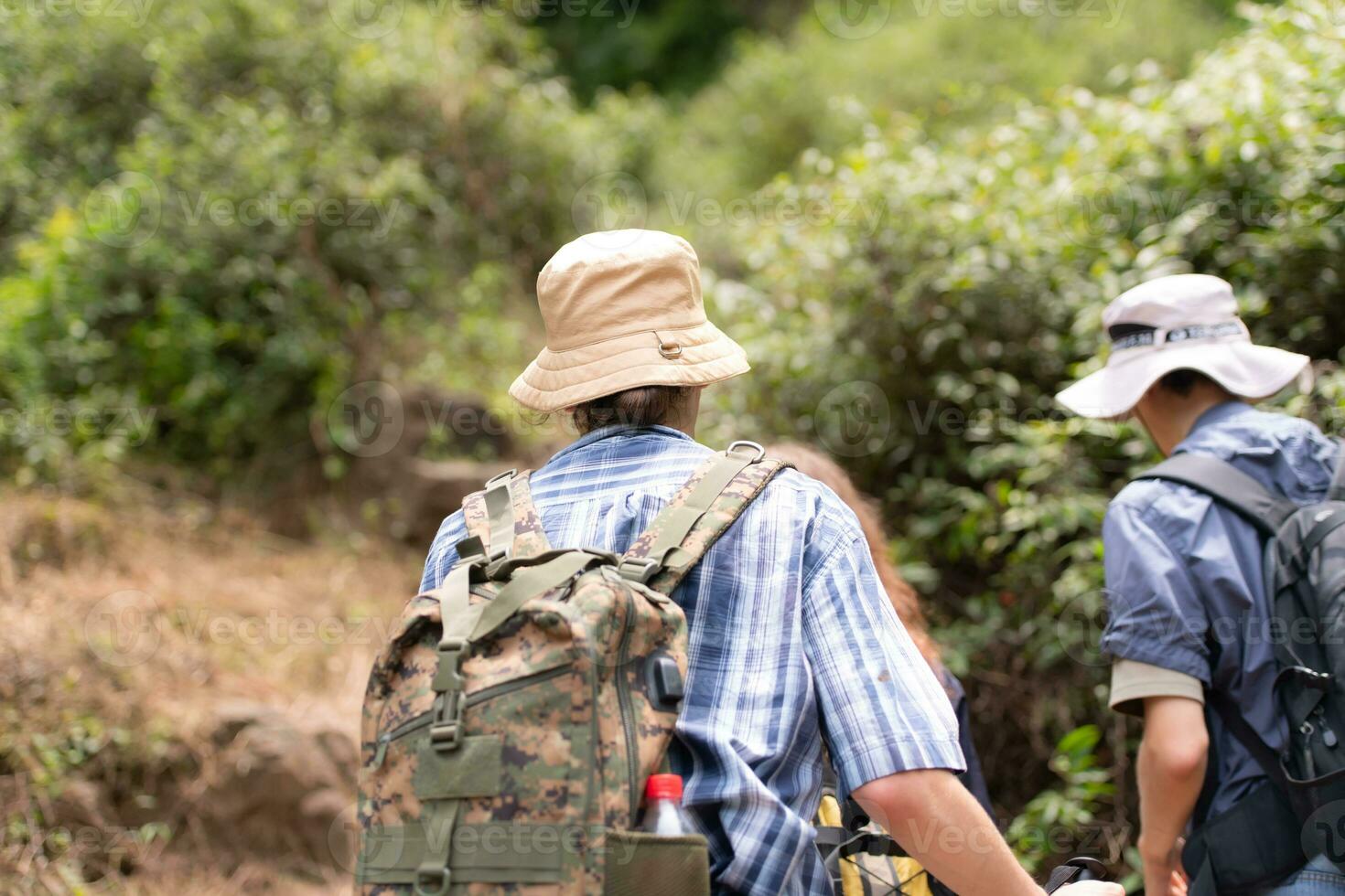 grupo de amigo en un soleado día en el bosque joven grupo caminante con mochila y trekking polos foto