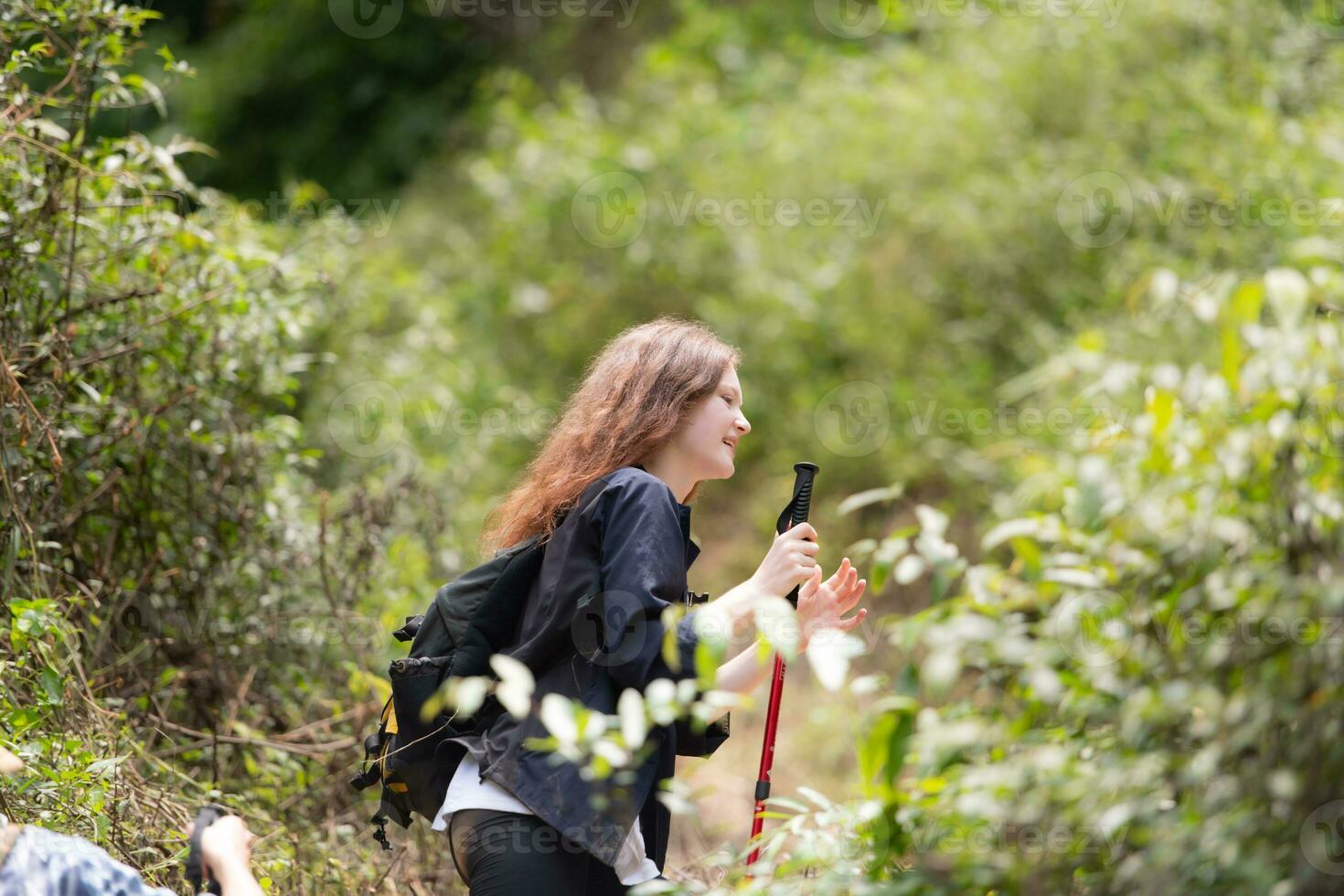 Group of friend on a sunny day in the forest Young group hiker with backpack and trekking poles photo
