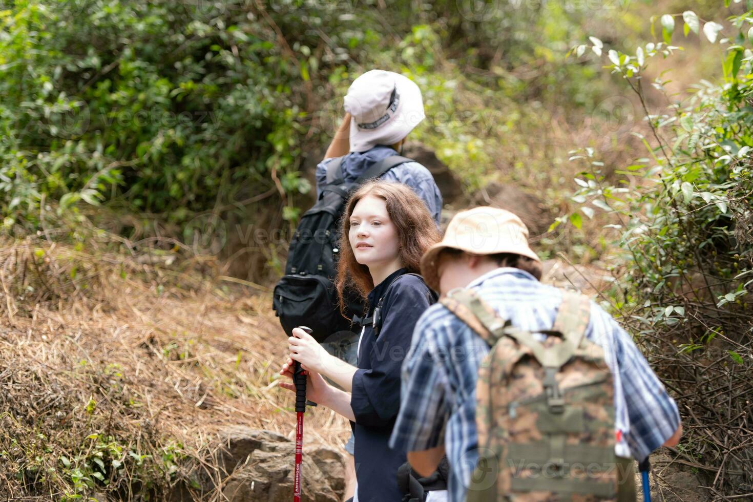 Group of friend on a sunny day in the forest Young group hiker with backpack and trekking poles photo