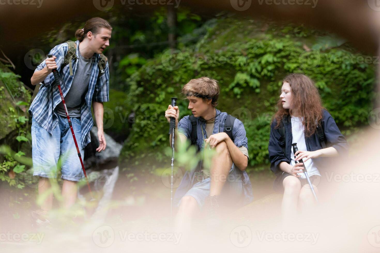 grupo de joven personas excursionismo en el bosque. viaje y aventuras concepto. foto