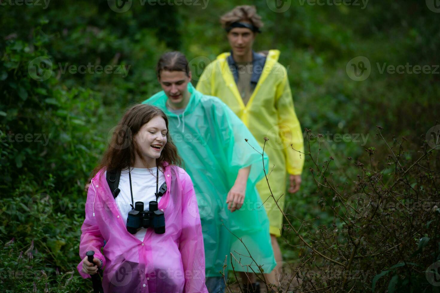 Group of friends in raincoats walking on the forest path, Hiking concept. photo